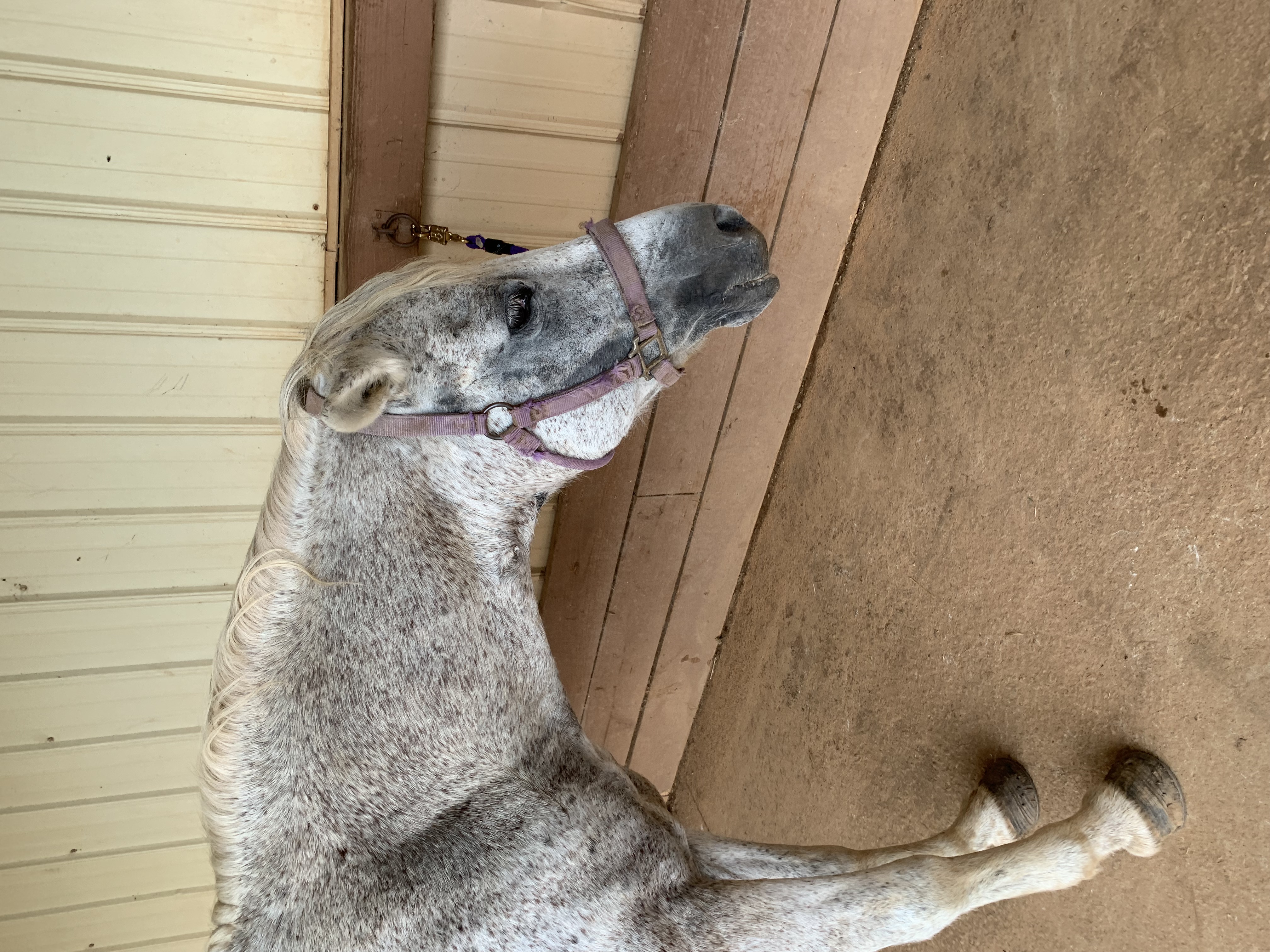 ./2021/07 - Southern Cross/IMG_5468.JPG